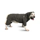 Комбінезон для собак Noble Pet Travis XL - зображення 1