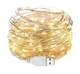 Гирлянда Роса 10м, проволка на батарейках+ USB: 100 LED, теплый белый (a29warmwhite) - изображение 1