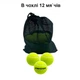 Набор мячей для большого тенниса 12 шт в чехле Newt SWDN Tennis Ball NE-TT-12 - изображение 2
