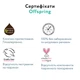 Подгузники-трусики Offspring Skye Размер L 9-14 кг 36 шт (9355465009138) - изображение 10