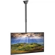 Кріплення для телевізора ITech Celb-54SHL стельовий кронштейн 32-55" - зображення 2
