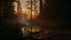 Гра Sony PlayStation 5 Alan Wake 2 Deluxe Edition Українські Субтитри Б/У - зображення 3