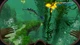 Игра Subnautica для ПК (Ключ активации Steam) - изображение 4
