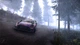 Гра WRC Generations Fully Loaded Edition для ПК (Ключ активації Steam) - изображение 3