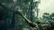 Гра Ancestors: The Humankind Odyssey (Steam) для ПК (Ключ активації Steam) - изображение 2