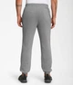 Штаны The North Face Pants Grey NF0A7UODGAZ L - изображение 3