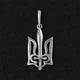 Срібна підвіска Тризуб з мечем (03115ch) - изображение 1