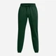 Спортивные штаны утепленные мужские Under Armour Ua Essential Fleece Jogger 1373882-301 XL Зеленые (197777221629) - изображение 6