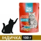 Вологий корм Пан Кот для котів з індичкою в соусі 100 г (4820111140176) - зображення 1