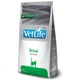 Сухой корм Farmina Vet Life Renal для кошек для поддержки функции почек 2 кг (8010276025302) - изображение 2