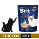 Сухий корм Brit Premium by Nature Indoor для котів з куркою 300 г (8595602552986) - зображення 1