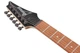Електрогітара IBANEZ RG421PB CHF (230535) - изображение 6