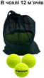 Набор мячей для большого тенниса Newt SWDN Tennis Ball NE-TT-12 12 шт в чехле - изображение 2