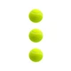 Набор мячей для большого тенниса 3 шт Newt SWDN Tennis Ball NE-TT-3 - изображение 1