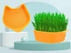 Лоток гидропоника Green Island CAT 12.7*12.7 см оранжевый для проращивания травы домашним животным - изображение 1