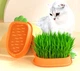 Лоток гідропоніка Green Island CARROT 19*11.8 см помаранчевий для пророщування трави хатнім тваринкам - зображення 1