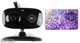Видеоняня Motorola Focus 66 Wi-Fi HD Camera (Focus 66) - изображение 7