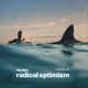 Виниловая пластинка Dua Lipa - Radical Optimism - изображение 1