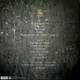 PARADISE LOST – Faith Divides Us - Death Unites Us (LP, UK) - изображение 2