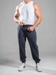 Джоггеры мужские спортивные штаны трикотажные Teamv Jogger Petlia Графит 3XL - изображение 2