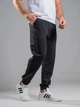 Джоггеры мужские с манжетом трикотажные штаны спортивные Teamv Jogger Petlia черные XS - изображение 5