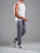 Джоггеры мужские спортивные штаны трикотажные Teamv Jogger Petlia Серые 3XL - изображение 4