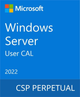 Програмний продукт Microsoft Windows Server 2022 - 1 User CAL (DG7GMGF0D5VX-0007) - изображение 1