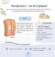 Книга Щоденник щасливих дівчат (978-617-7670-11-6) - изображение 6