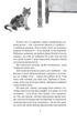 Книга Тільки не гавкай (978-966-982-957-3) - изображение 3