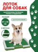 Туалет для собак лоток для домашніх тварин Puppy Potty Pad Green - зображення 1