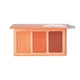 Палетка рум'ян Sheglam Sweet Cheeks Blush Trio Private Cabana - изображение 1