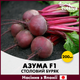 Столовая свекла Азума F1, 200 шт - изображение 1