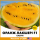 Арбуз Lark Seeds Оранж Лакшери F1, 5 шт - изображение 1