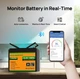 Аккумулятор ECO-WORTHY LiFePO4 12.8V 100ah с Bluetooth и защитой от низких температур - изображение 2