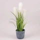 Кашпо из цемента новогоднее Flora серое D-15 см. 39501 - изображение 2