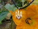 Кулон Тризуб зі шнуром 50 см. Срібло 925°. (АРТ. №142/50) Dadiverin Jewelry - изображение 2