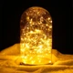 Гнучка мідна гірлянда на батарейках та USB РОСА крапля 50LED CHR 5м теплий-білий - зображення 2