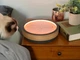 Oasis Kinetic Sand Tables - заспокійливе кінетичне полотно. - изображение 6