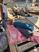 Покрывало хлопковое вафельное 80х150 см Графит (П4К-al-vafel-pled-001-05) - изображение 4