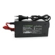 Зарядное устройство аккумуляторов LiFePO4 12V (14.6V), 4S, 5A, с крокодилами, LED-индикация - изображение 3