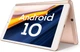 Планшет 10.1" Vastking KingPad SA10 Android 10 3/32Gb 6000mAh - зображення 1