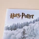 Адвент календар Гаррі Поттер на 31 день. Адвент календар Harry Potter. Адвент календар с Гаррі Поттером - зображення 11