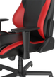 Fotel gamingowy DXRacer Drifting Black/Red (GC/LDC23LTA/NR) - obraz 16