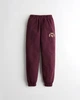 Джоггеры женские - штаны джоггеры Hollister HC9291W S Бордовый - изображение 1