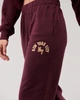 Джоггеры женские - штаны джоггеры Hollister HC9291W S Бордовый - изображение 3