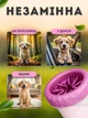 Лапомойка удобная емкость для мойки лап животных Lapomover Soft Gentle большая (резиновая, розовая) - изображение 5
