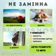 Лапомийка зручна ємність для миття лап тварин Lapomover Soft Gentle середня (гумова, зелена) - зображення 3