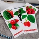 Карточки Домана ''Ягоды'' на испанском языке, в наборе 16 карточек - изображение 3