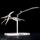 Модель для складання Bandai Plannosaurus Pteranodon (4573102662828) - зображення 8