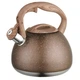 Чайник Unique UN-5306 Brown зі свистком 2.7L - зображення 1